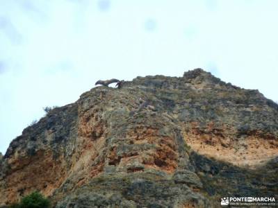 Hoces Río Duratón-Sepúlveda; pueblos de la sierra de madrid sierra norte de sevilla fotos madrid